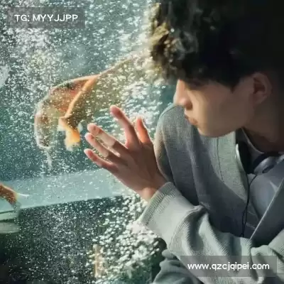 孟含